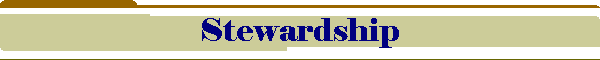 Stewardship