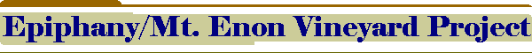 Epiphany/Mt. Enon Vineyard Project